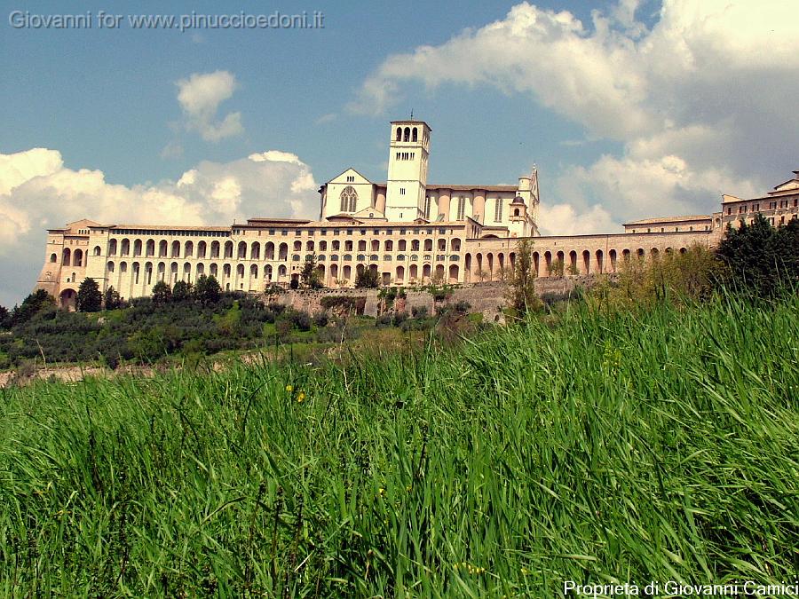 Basilica di San Francesco 4.JPG